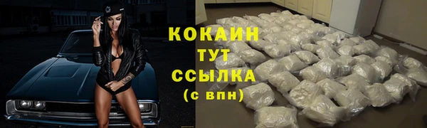 мяу мяу мука Абаза