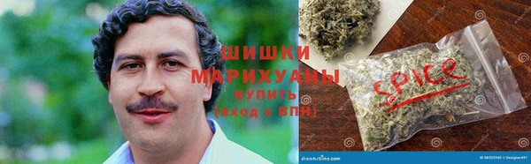дурь Алзамай